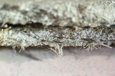 Asbestos Service in Somerset County, NJ