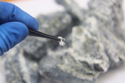 Asbestos Testing Service in Essex County, NJ