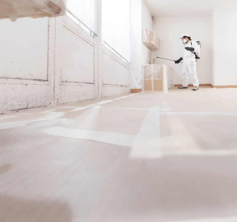 Attic Mold Remediation in Bergen County, NJ