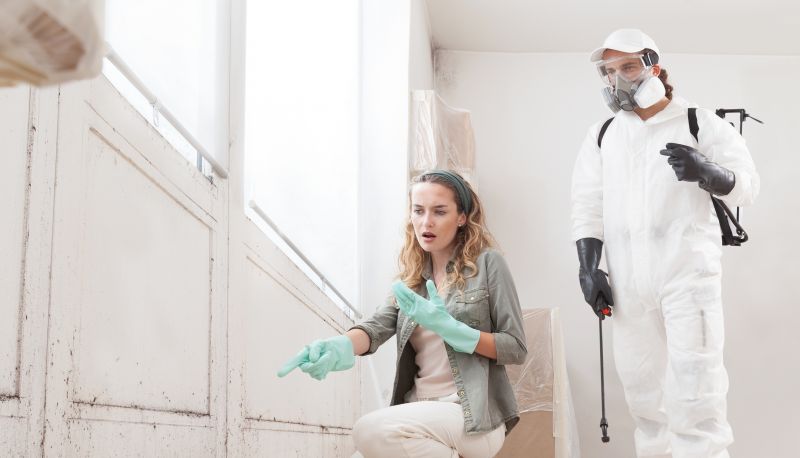 Attic Mold Remediation in West Palm Beach, FL