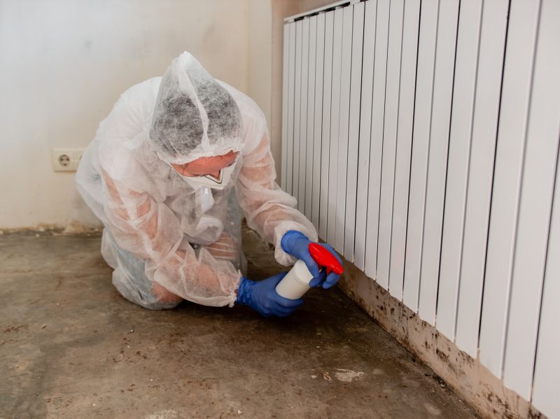 Attic Mold Remediation in Essex County, NJ