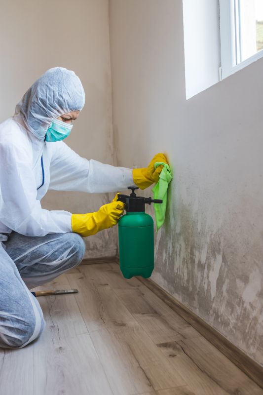 Attic Mold Remediation in Essex County, NJ