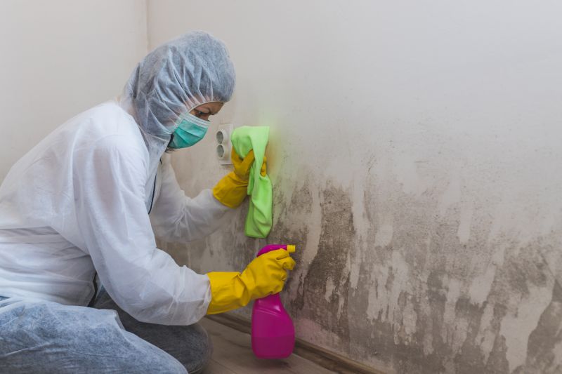 Basement Mold Removal in Jupiter, FL