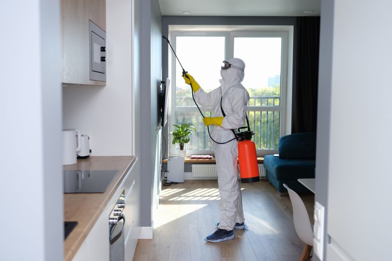Basement Mold Removal in Boca Raton, FL