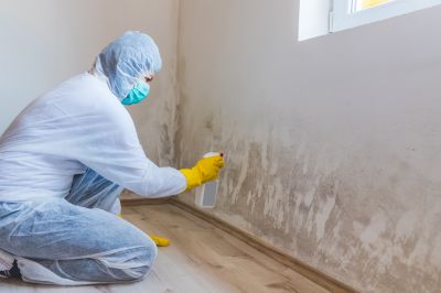 Basement Mold Removal in Fort Worth, TX