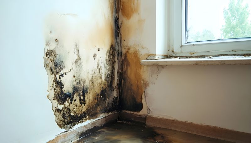 Crawl Space Mold Removal in Essex County, NJ