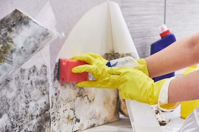 Crawlspace Mold Remediation in Fort Worth, TX