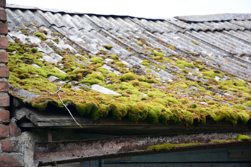 Garage Asbestos Removal in Essex County, NJ