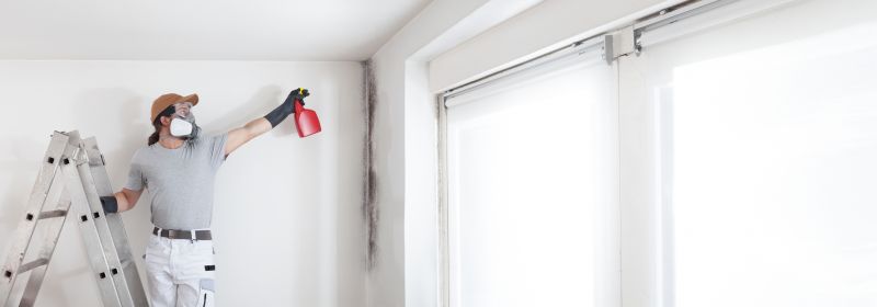 Garage Mold Remediation in Frisco, TX