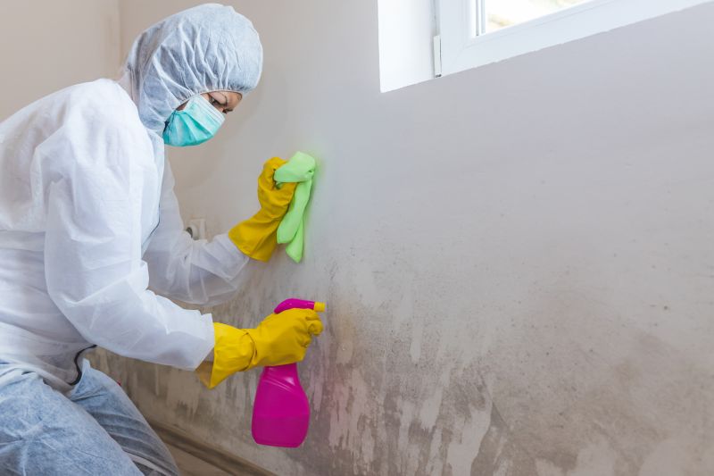 Mold Remediation Service in Broward County, FL