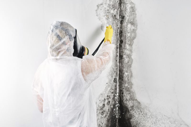 Mold Remediation Service in Fort Lauderdale, FL