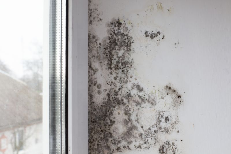 Mold Removal in Dallas, TX