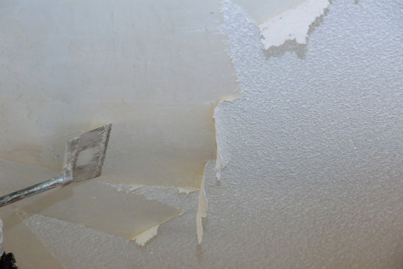 Vermiculite Removal Service in Essex County, NJ
