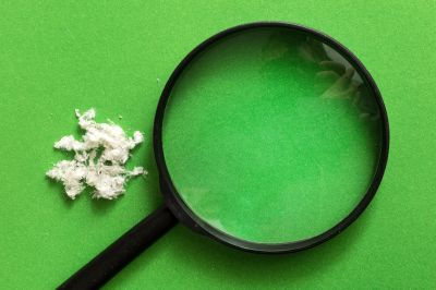 Laboratory Testing Services