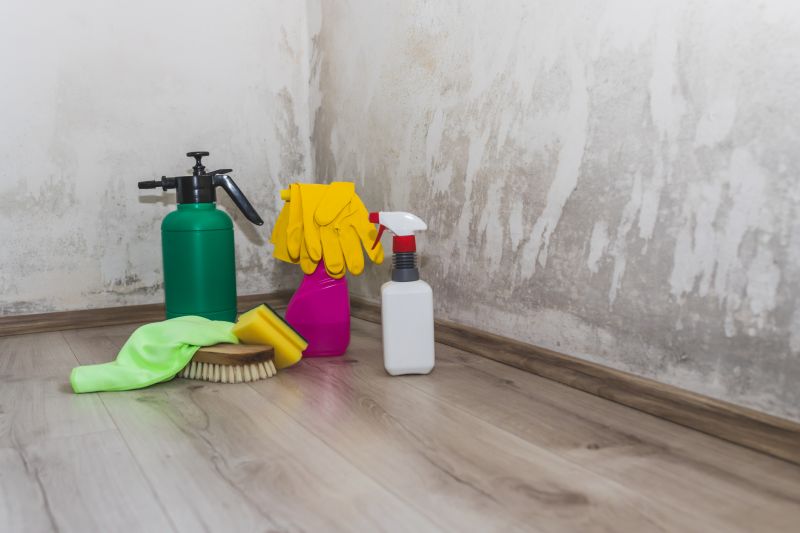 Attic Mold Remediation in Essex County, NJ