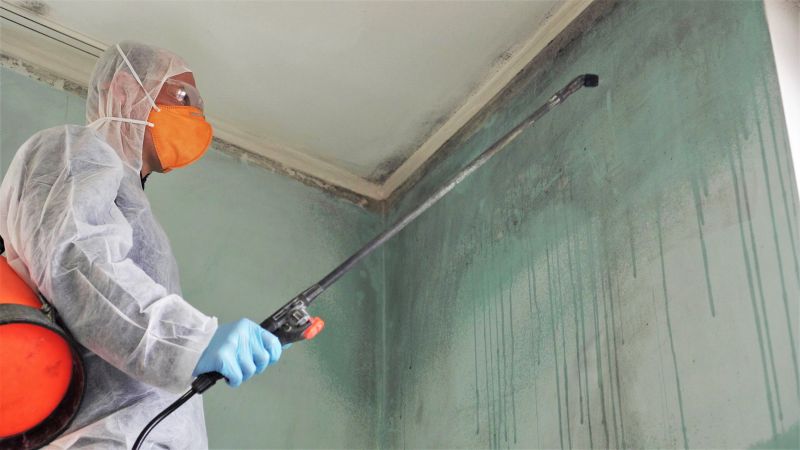 Attic Mold Removal in Dallas, TX