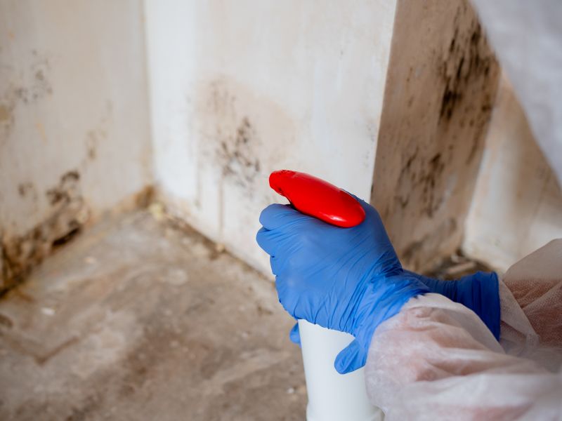 Basement Mold Remediation in Dallas, TX