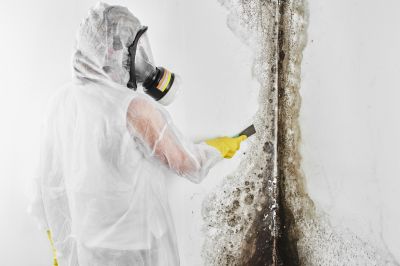 Basement Mold Removal in Broward County, FL