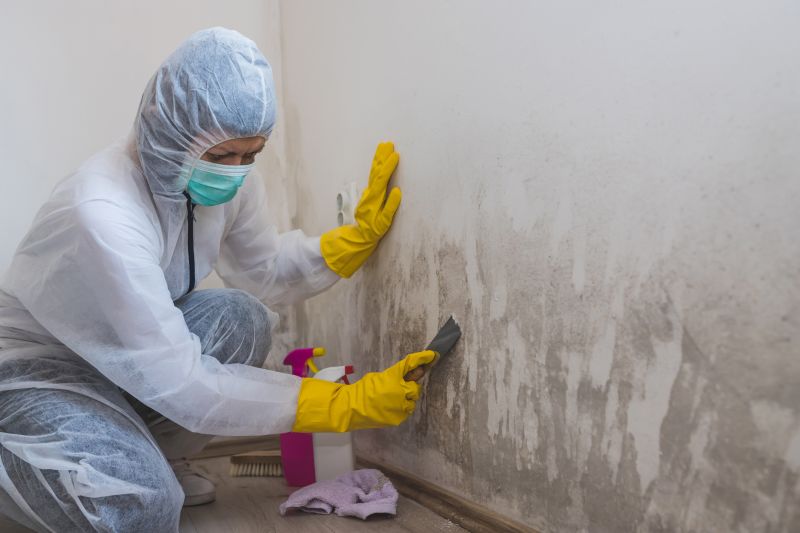 Mold Cleanup Service in Fort Worth, TX