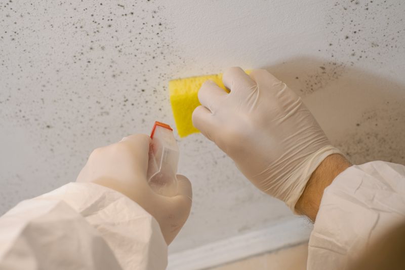 Mold Restoration in Essex County, NJ